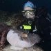 anemonefish_skunk_rr_sur_v_1096_tha2607.jpg